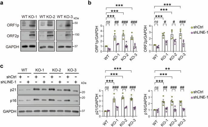extended data figure 9