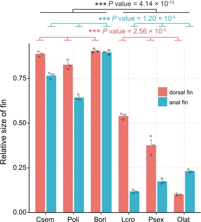 Large-scale sequencing of flatfish genomes provides insights into the polyphyletic origin of ...