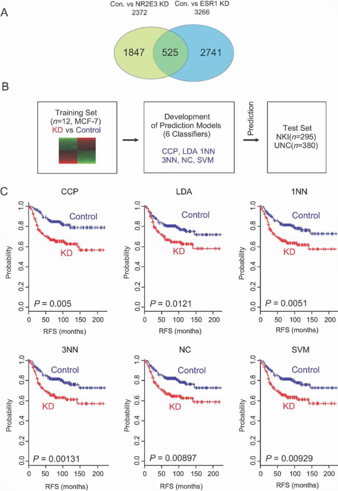 Reconstruction of nuclear receptor network reveals that NR2E3 is a ...