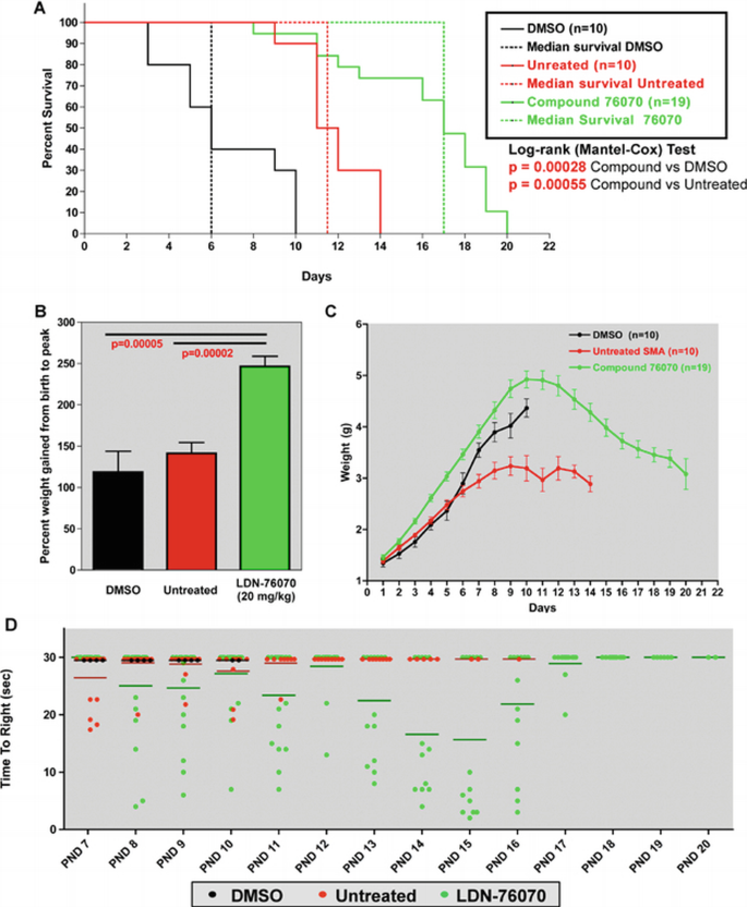 Enhancement of SMN protein levels in a mouse model of spinal muscular ...