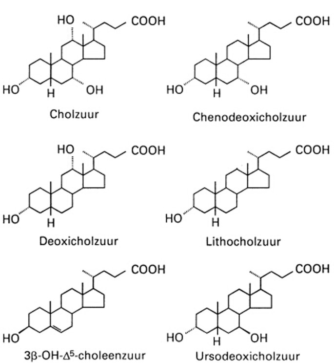 Cholestase Bij Pasgeborenen Als Gevolg Van Parenterale Voeding Springerlink