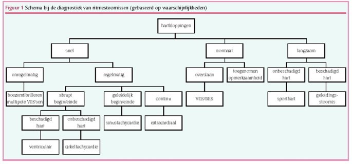 Hartkloppingen Springerlink