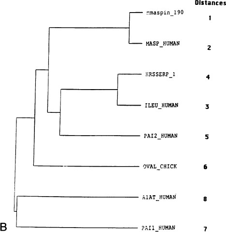 figure 2B