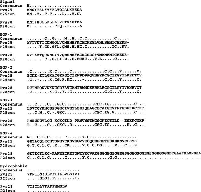 Sequence Polymorphism In Two Novel Plasmodium Vivax Ookinete Surface Proteins Pvs25 And Pvs28 That Are Malaria Transmission Blocking Vaccine Candidates Molecular Medicine Full Text