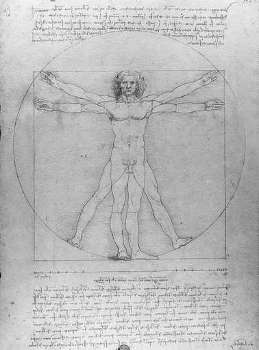 proportional study of man in the manner of vitruvius