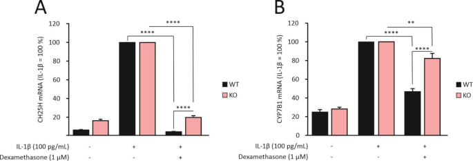 Dexamethasone regulates gene expression in chondrocytes through MKP-1 ...