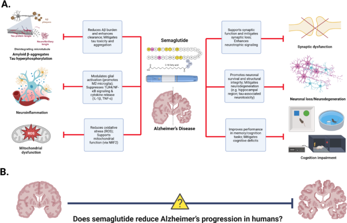 switching from semaglutide to tirzepatide side effects Switching from Semaglutide to Tirzepatide
