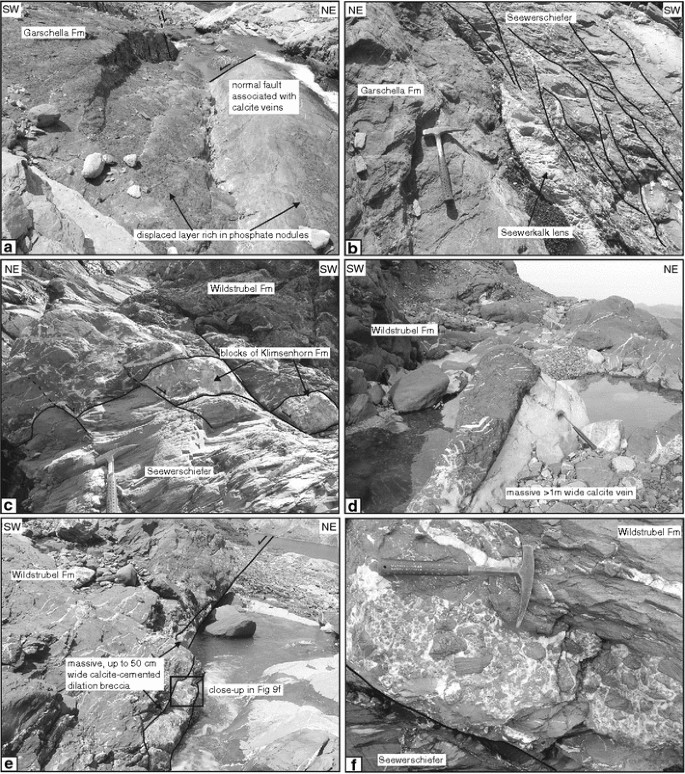 Brittle faulting in the Rawil depression: field observations from the Rezli  fault zones, Helvetic nappes, Western Switzerland | Swiss Journal of  Geosciences | Full Text