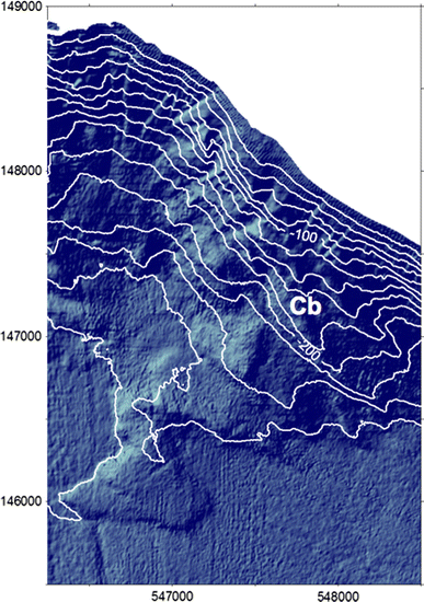 figure 8