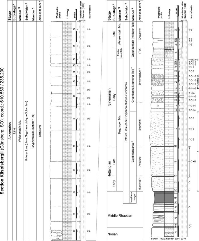 figure 24