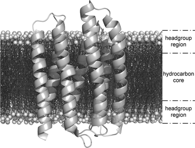 Protein Folding In Membranes Springerlink