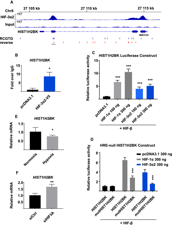 A long hypoxia-inducible factor 3 isoform 2 is a transcription activator  that regulates erythropoietin