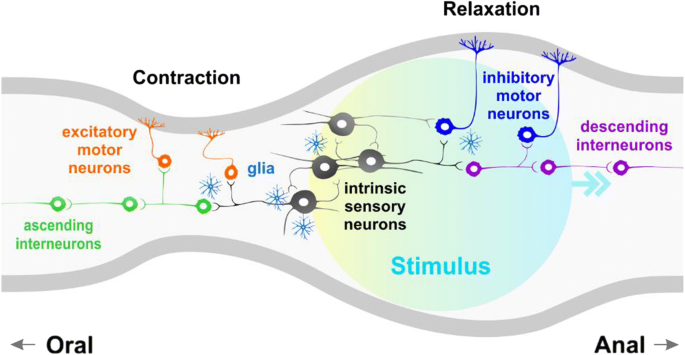 figure2