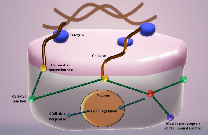 is glutathione good for hypothyroidism Thyroid Harmony: Glutathione and Health