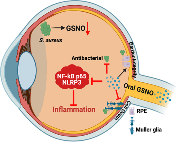is glutathione good for skin brightening Glutathione നല്ലതാണോ? അറിയേണ്ടതെല്ലാം