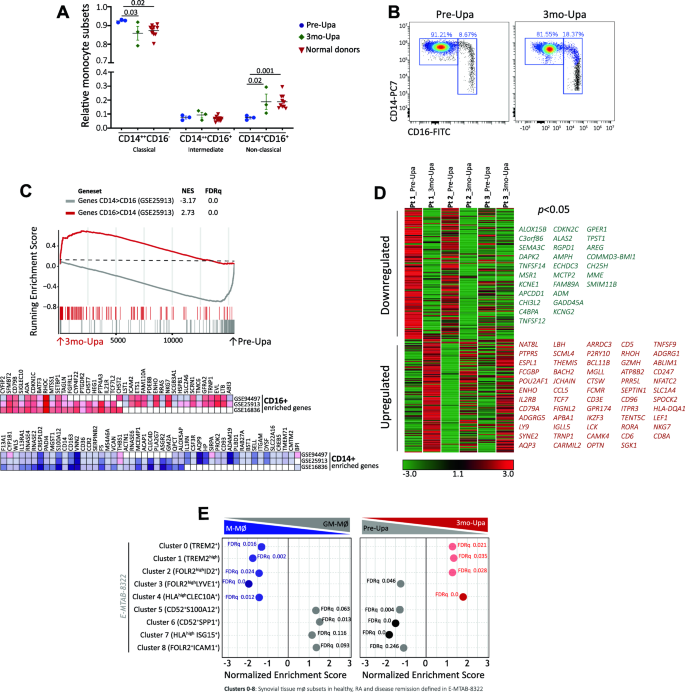 Macrophage re-programming by JAK inhibitors relies on MAFB | Cellular ...