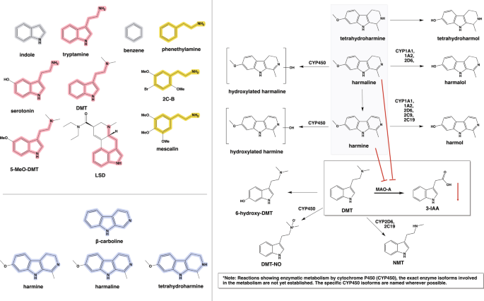 trial by media research paper figure 1
