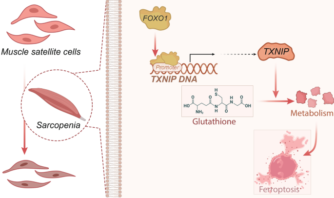 glutathione skin care benefits What are the Benefits of IV Glutathione Treatment?