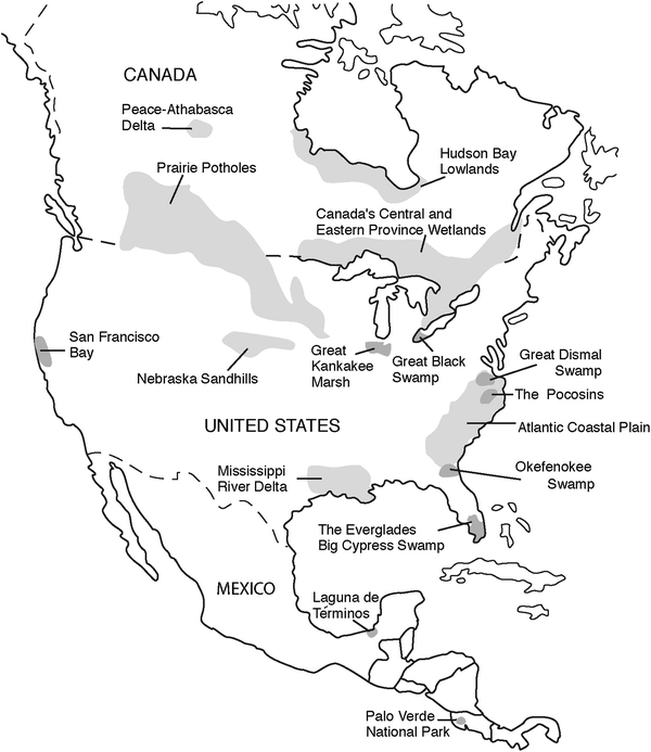 Wetlands Of North And Central America, North America Landscape Map