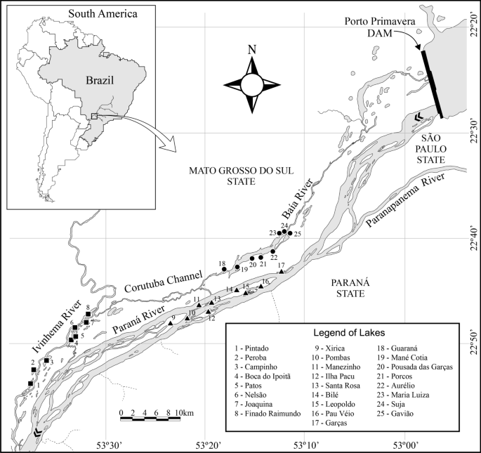 Macrophyte life forms influence the effects of environmental and spatial  factors on the beta-diversity of associated ostracod communities  (Crustacea) | SpringerLink