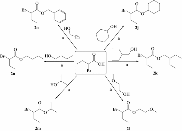 scheme 4