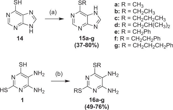 The Discovery Of Purine Based Agents Targeting Triple Negative Breast Cancer And The Ab Crystallin Vegf Protein Protein Interaction Springerlink