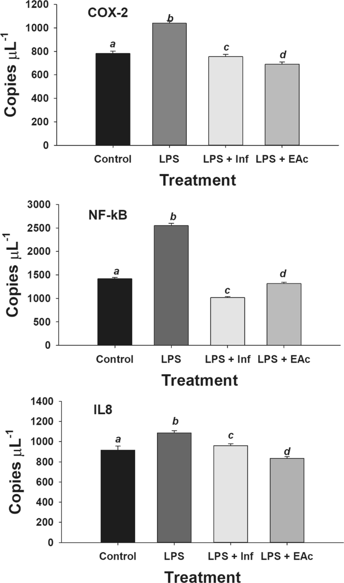 Acetone effects on Buddleja scordioides polyphenol extraction 