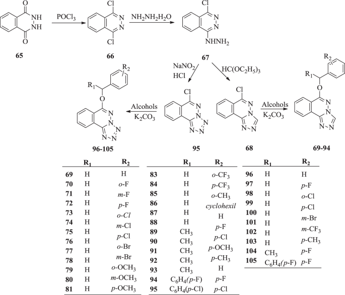 A Review On The Synthesis And Applications Of Molecules As Anticonvulsant Drug Agent Candidates Springerlink