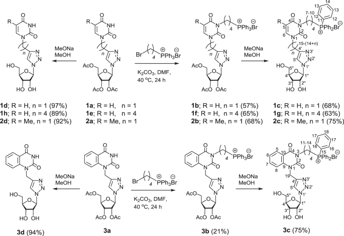 Triphenylphosphonium Conjugates Of 1 2 3 Triazolyl Nucleoside Analogues Synthesis And Cytotoxicity Evaluation Springerlink