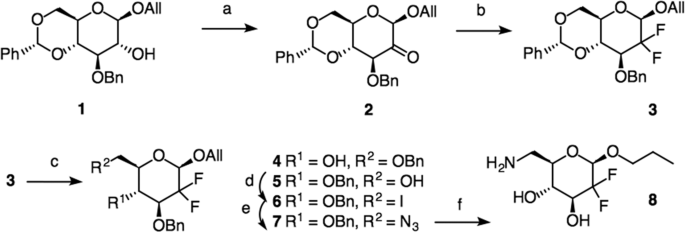N Propyl 6 Amino 2 6 Dideoxy 2 2 Difluoro B D Glucopyranoside Is A Good Inhibitor For The B Galactosidase From E Coli Springerlink