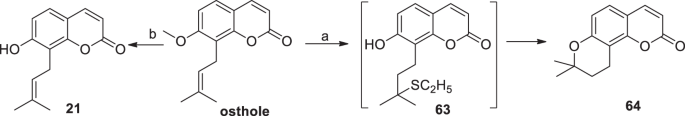 scheme 19