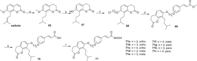 scheme 21