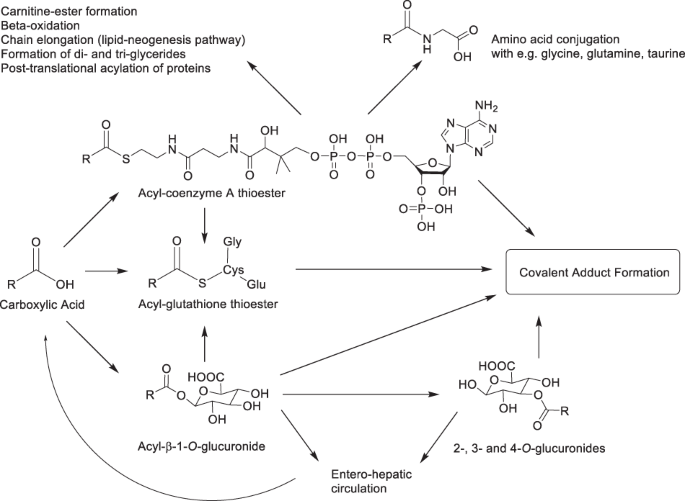 glutathione ester Synthesis and biological evaluation of dual functionalized glutathione  sensitive poly(ester-urethane) multiblock polymeric nanoparticles for  cancer targeted drug delivery main image 1