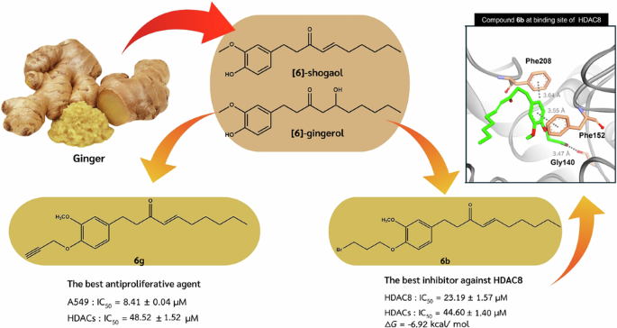 Design, synthesis and investigating the in vitro and in silico HDAC8 ...