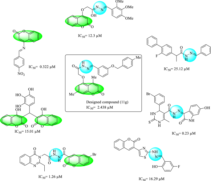 Design, synthesis, in vitro evaluation, and molecular dynamics ...