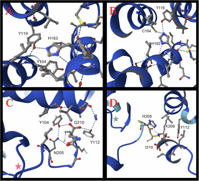 ipamorelin dosage 10mg cjc 1295 ipamorelin 10mg blend dosage Cjc 1295 Ipamorelin No Dac Blend  Dosage Chart