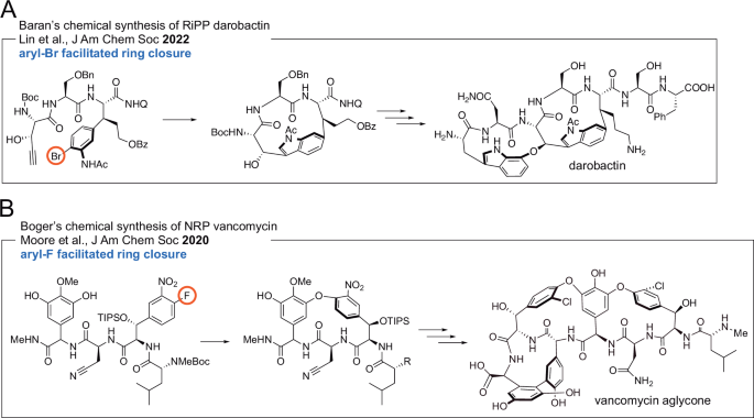 Peptide halogenation biochemistry: interfacing pharmaceutical deliverables  with chemical innovation | Medicinal Chemistry Research | Springer Nature  Link
