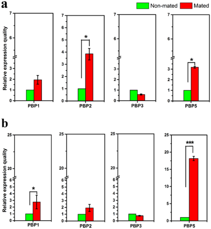 pbp3 gene purpose pbp3 gene purpose