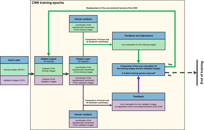 Pseudonym Funktion Des Personalausweises Eid Funktion