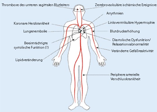 Die Zeit wird knapp! Denken Sie über diese 10 Möglichkeiten nach, Ihr was ist eine steroide zu ändern