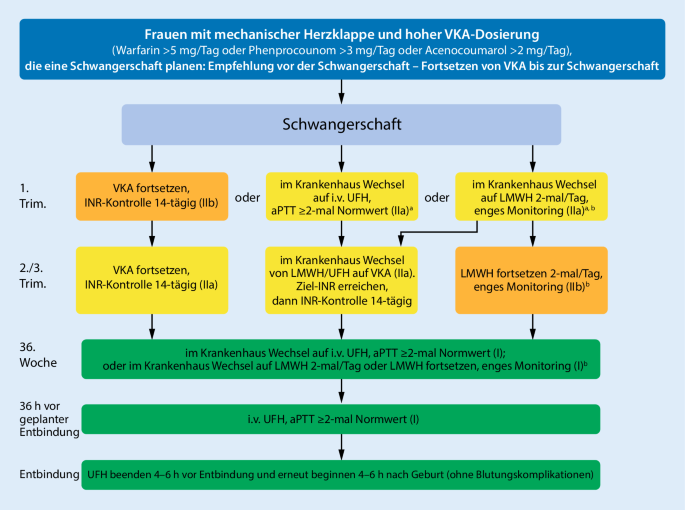 Update 2018 Der Esc Leitlinie Zu Kardiovaskularen Erkrankungen In Der Schwangerschaft Springerlink
