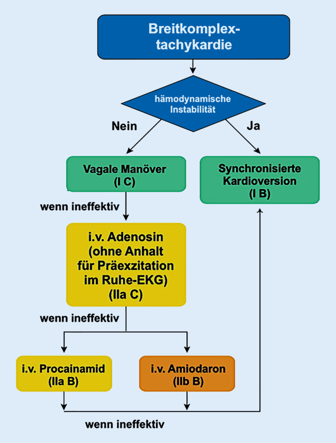 Neue Esc Leitlinien 2019 Zur Behandlung Von Supraventrikularen Tachykardien Springerlink