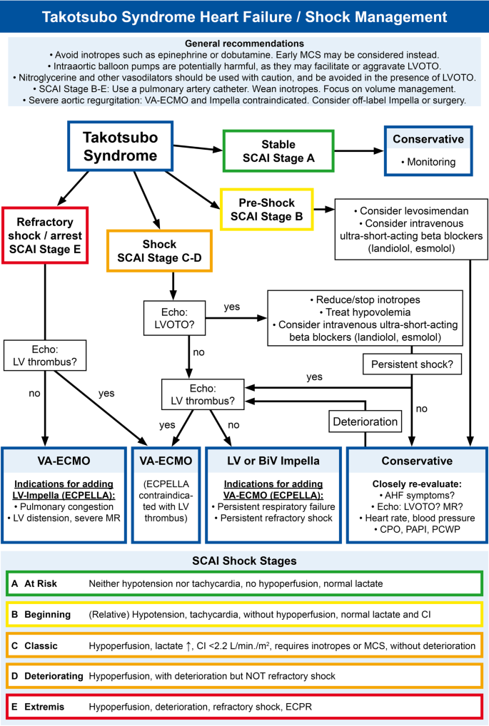 Takotsubo syndrome: between evidence, myths, and misunderstandings |  SpringerLink