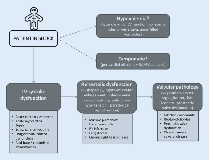 Echocardiographic Assessment In Cardiogenic Shock Springerlink