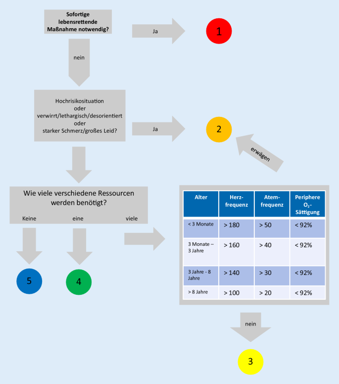 Triagierung Ersteinschatzung Von Patienten In Der Zentralen Notaufnahme Springerlink