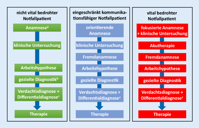 Anamnese Und Klinische Untersuchung In Der Notfall Und Intensivmedizin Springerlink