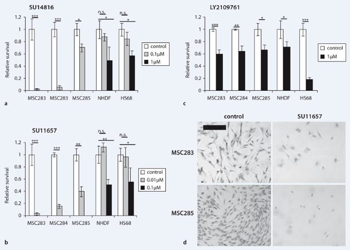 Mesenchymal stem cells are sensitive to treatment with kinase inhibitors  and ionizing radiation | SpringerLink