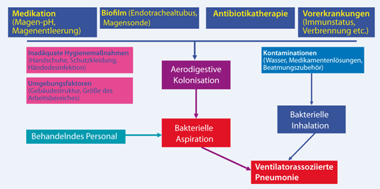 Nosokomiale Pneumonie | Die Anaesthesiologie | Springer Nature Link