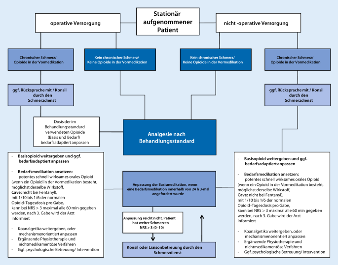 Management Von Patienten Mit Chronischen Schmerzen In Der Akut Und Perioperativen Medizin Springerlink