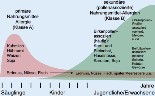 Nahrungsmittelallergien Und Andere Unvertraglichkeiten Springerlink
